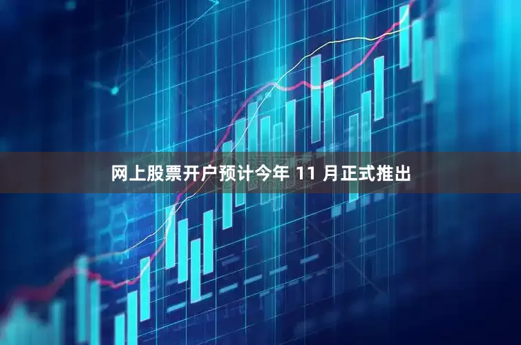 网上股票开户预计今年 11 月正式推出
