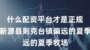 什么配资平台才是正规的在新源县则克台镇偏远的夏季牧场