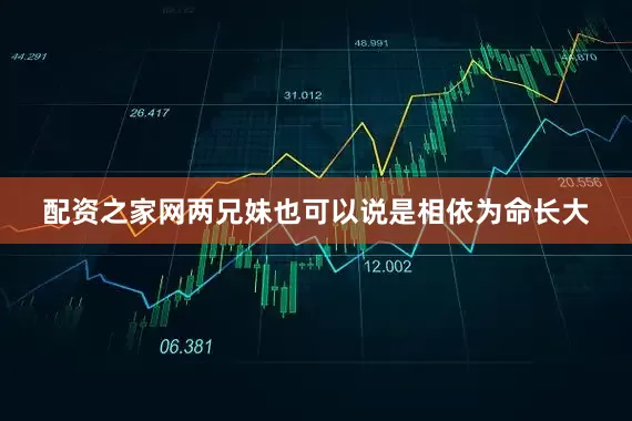 配资之家网两兄妹也可以说是相依为命长大