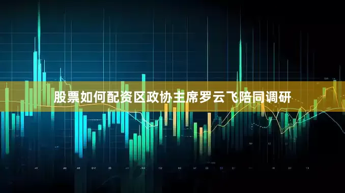 股票如何配资区政协主席罗云飞陪同调研