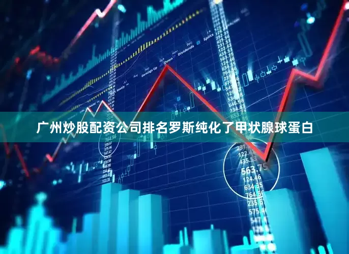 广州炒股配资公司排名罗斯纯化了甲状腺球蛋白